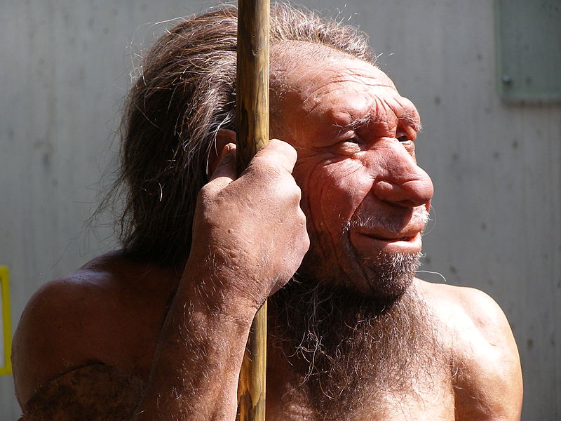 Homo_neanderthalensis_portrait_-_Neanderthal_Museum.jpg