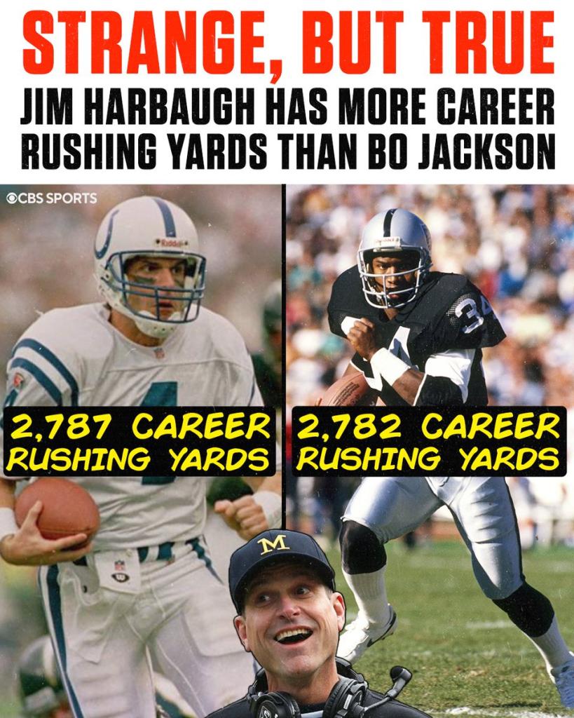 JIM%20HARBAUGH%20BO.jpg