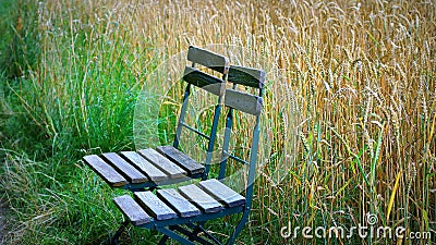 wooden-chairs-standing-field-two-austrian-wheat-45945793.jpg