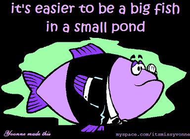 bigfishsmallpond2.jpg