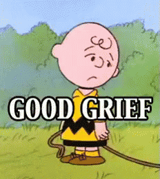 good-grief-charlie-brown.gif